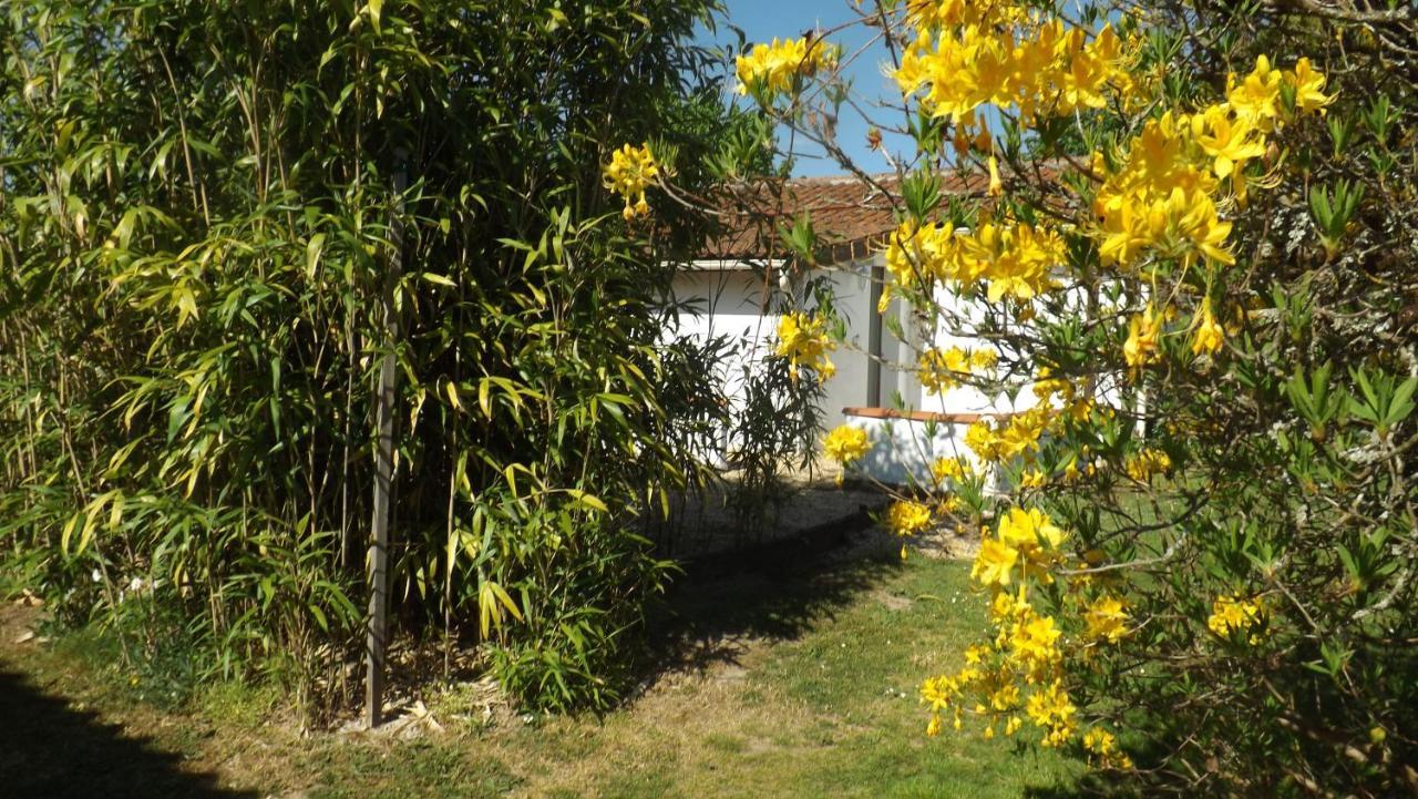 Villa Breesfalt Gite Accomodation Maisonnais-Sur-Tardoire Exterior foto